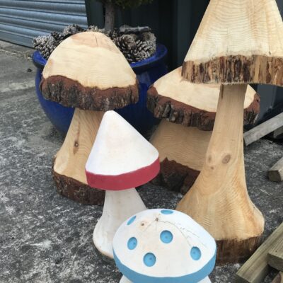 Chainsaw Carved Mushrooms and Toadstools
