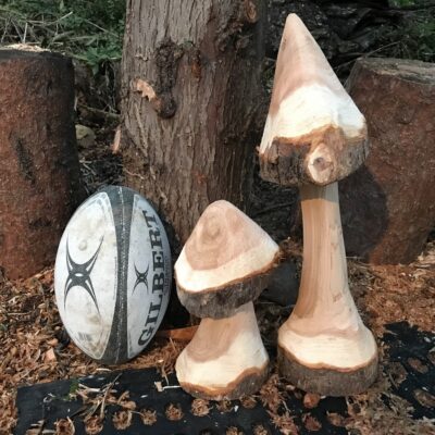 Rustic Chainsaw Carved Toadstools