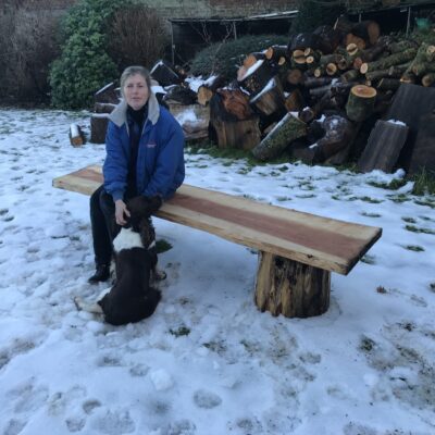 Basic Redwood Bench