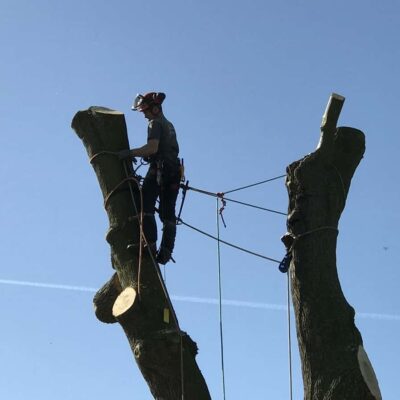 Sectional Dismantle - High in the Sky