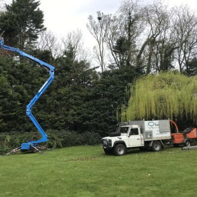 Tree Surgery