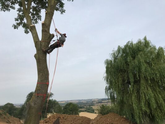 Ash Dismantle - Construction Site